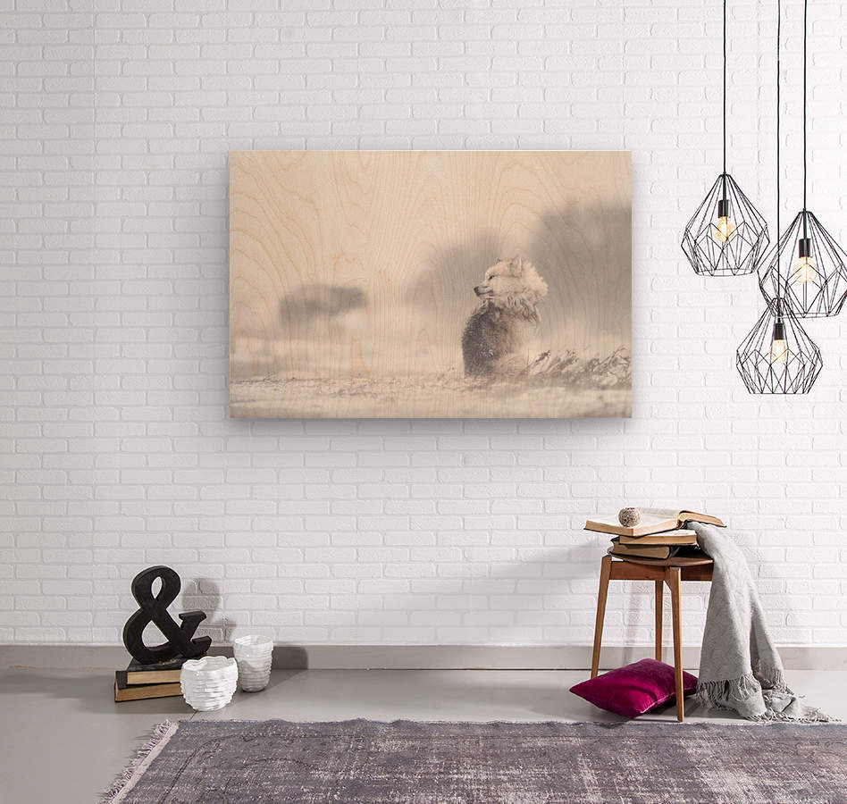 145972 :: Wood Print