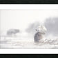 145972 :: Framed Print