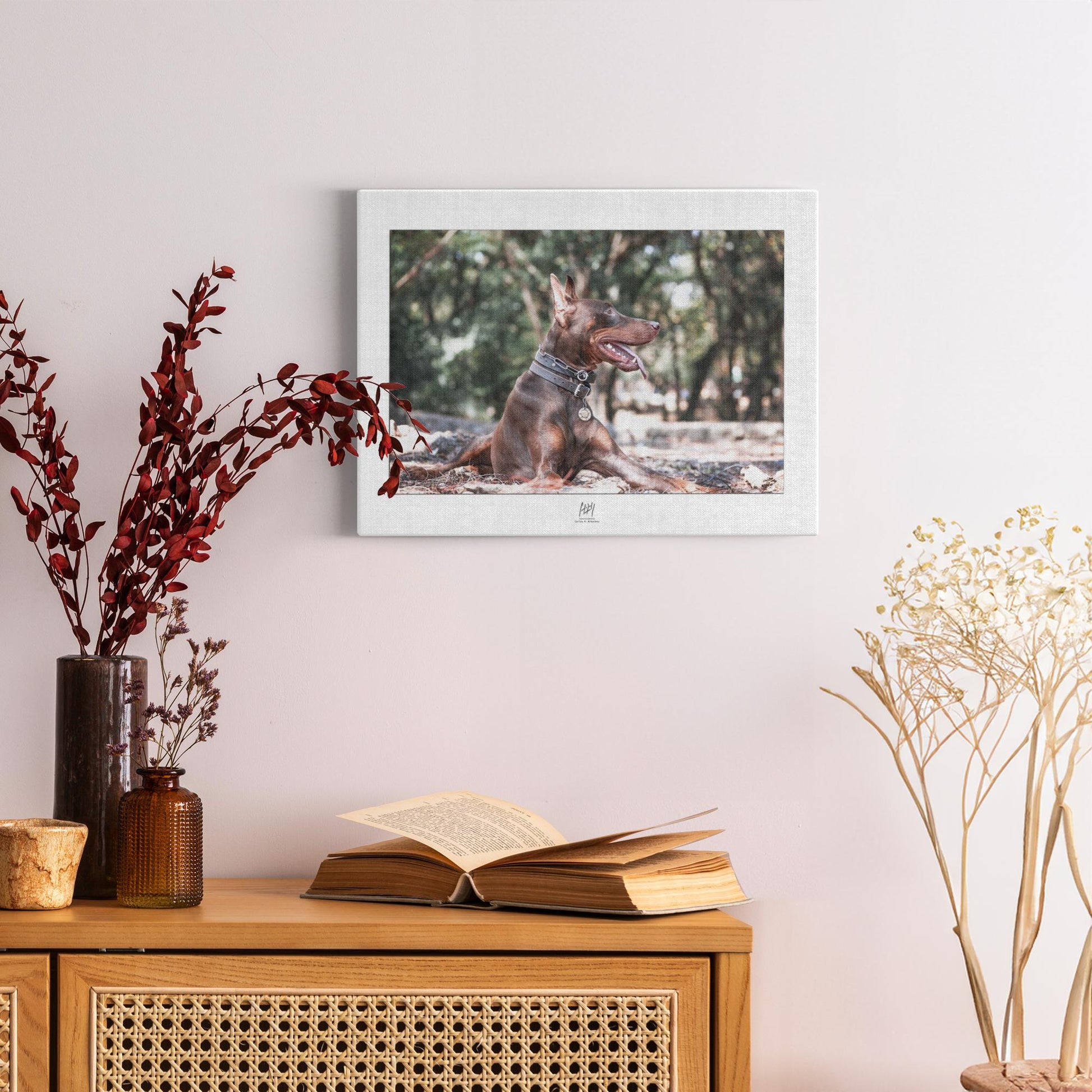 generated-proPreview-1