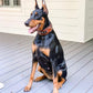 The "Balteus" brown collar-1