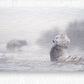 145972 :: Brushed Metal Print