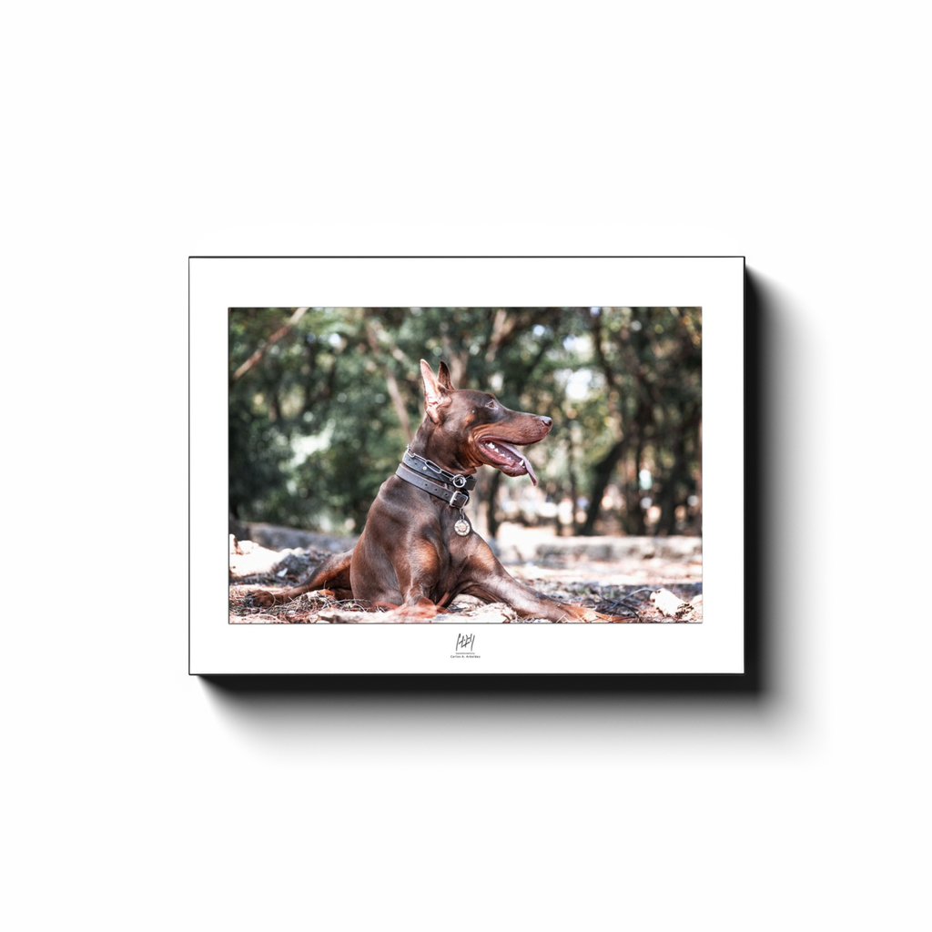 generated-proPreview-2