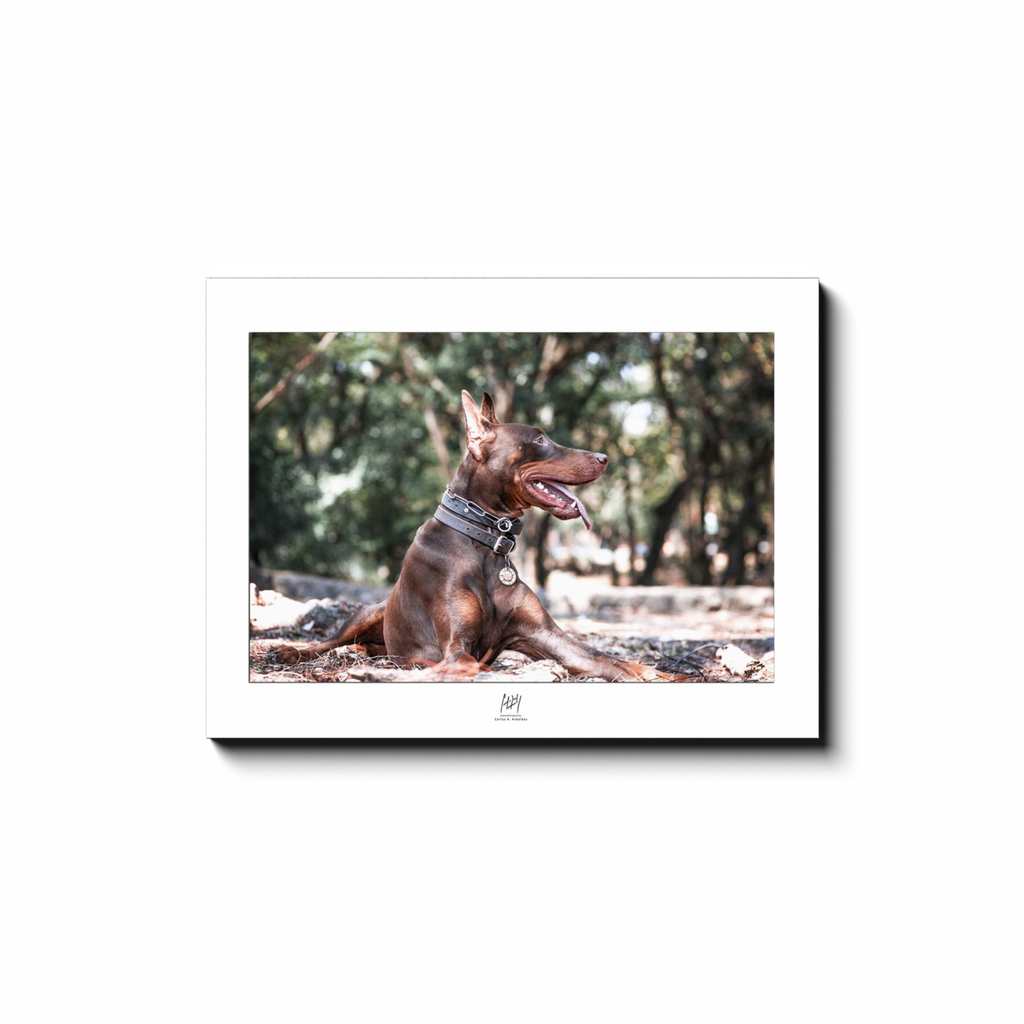 generated-proPreview-8