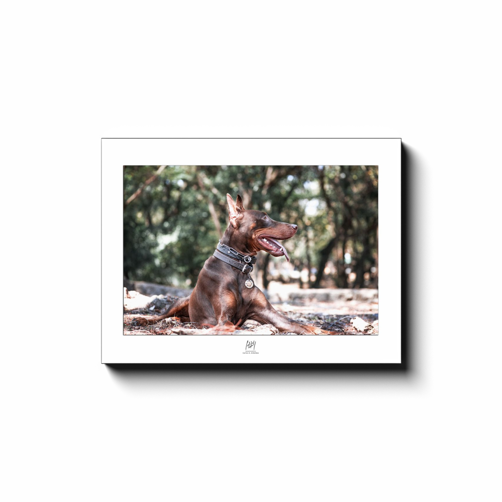 generated-proPreview-5