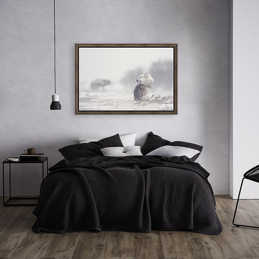 145972 :: Giclée Stretched Canvas Print