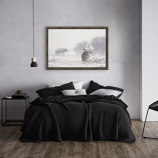 145972 :: Giclée Stretched Canvas Print