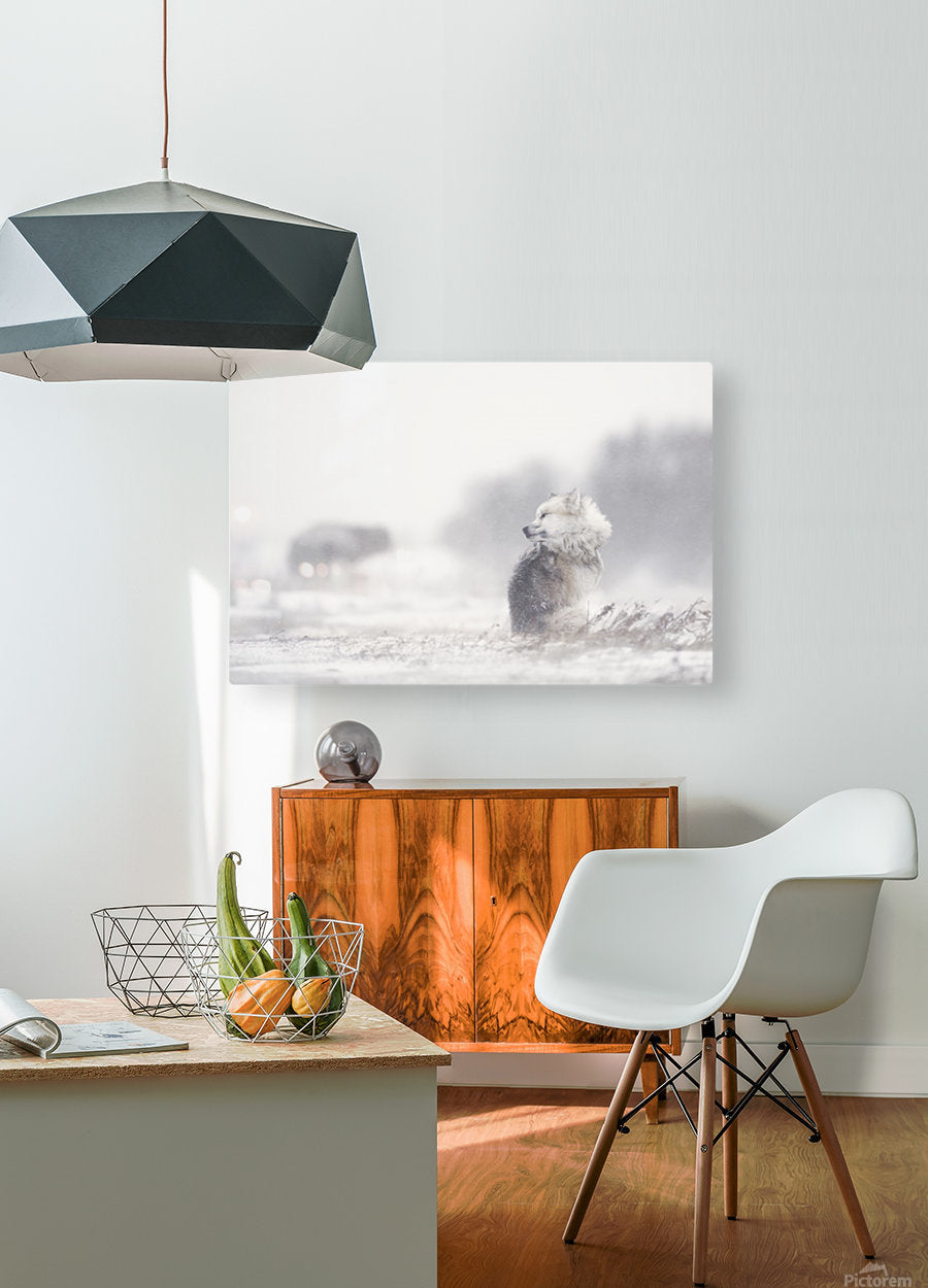 145972 :: HD Sublimation Metal Print